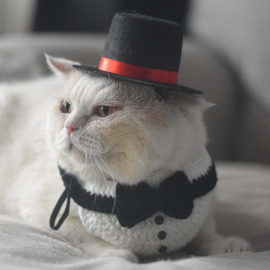 Cat Knitted Gentleman