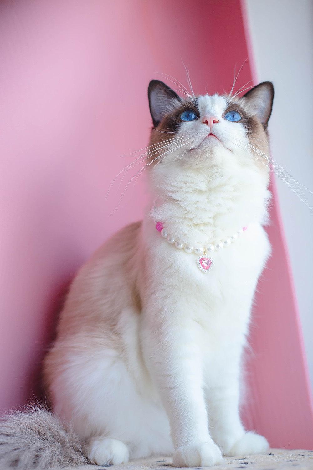 Pet Cat Beads Love Necklace