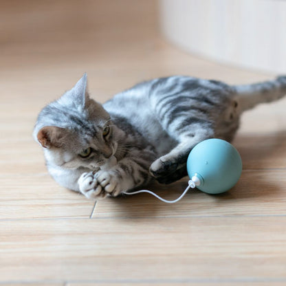 Electric cat toy