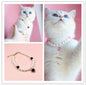Pet Cat Beads Love Necklace