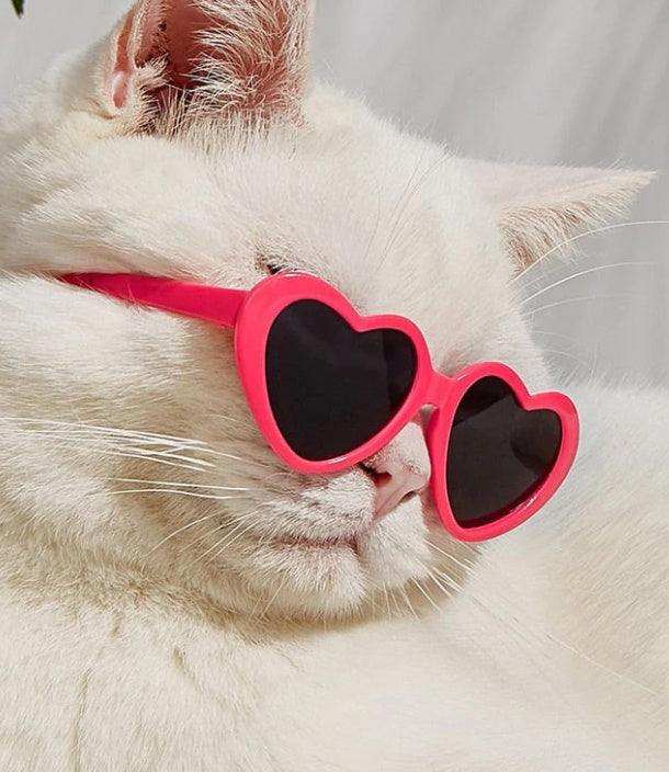 Doll Sunglasses Pet