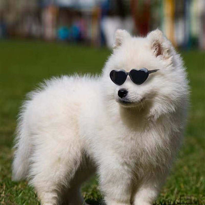 Doll Sunglasses Pet